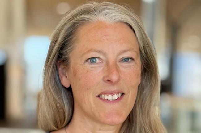 Bild på Helen Brink, doktor i pedagogiskt arbete vid Karlstads universitet.