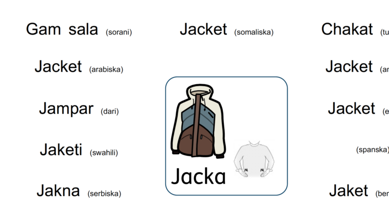 Bild på jacka och vad det heter på olika språk
