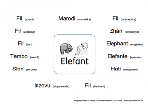 Bild på elefant och vad det heter på olika språk