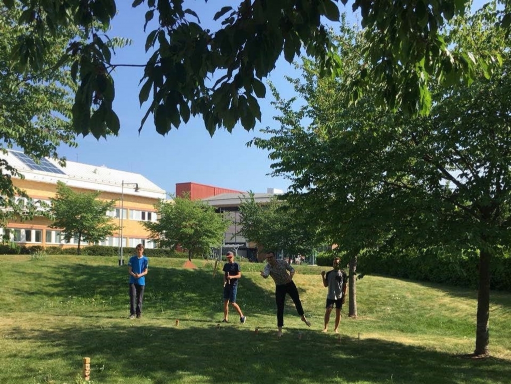 Fyra personer spelar kubb på en gräsmatta med träd runtomkring. I bakgrunden gula och röda fasader på Karlstads universitet.