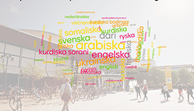 Cirka 160 modersmålslärare med representanter från 21 språk besökte Karlstads universitet.