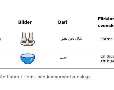 Ett exempel från ordlistan i hem- och konsumentkunskap med orden "baka ut" och "bunke" på svenska och dari. Även med beskrivande bilder.